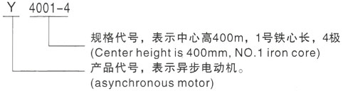 西安泰富西玛Y系列(H355-1000)高压YE2-315M-6三相异步电机型号说明