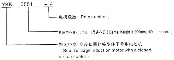 YKK系列(H355-1000)高压YE2-315M-6三相异步电机西安泰富西玛电机型号说明